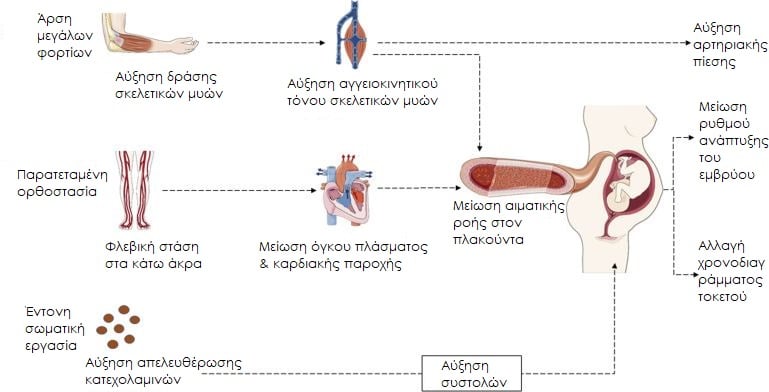 Ο αντίκτυπος των σωματικών δραστηριοτήτων κατά τη διάρκεια της εγκυμοσύνης στην κύηση και στο έμβρυο